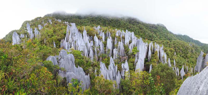 Mulu National Park View of the Pinnacles